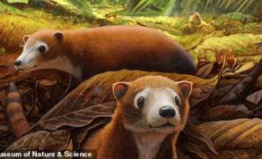 A New Fossil of a Small Mammal Was Named After Lyda Hill and Sharon Milito, in Honor of Their Support for the Natural Sciences in Colorado Springs