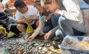 From Vietnam, to Africa, and the Smithsonian, Kate Bemis’s Career in Marine Science Has Brought Her Nearly Everywhere