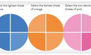 Can You Pass This Ultra Difficult Color Test?